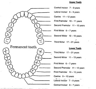 Frequently Asked Questions | van der Walt Dental Bundaberg